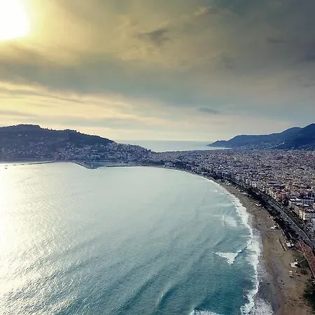 Melody Bed & Breakfast