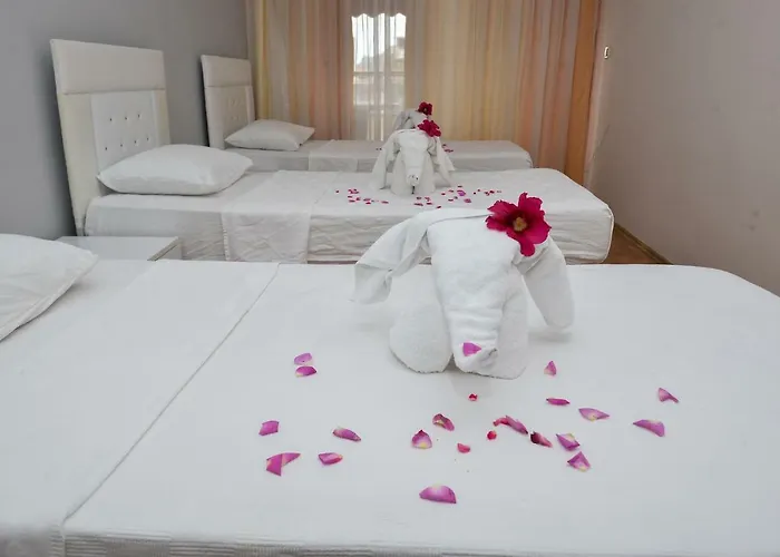 Melody Bed and breakfast 2*