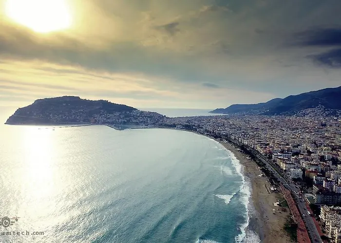 Melody Отель типа 